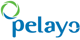 SEGRUOS PELAYO